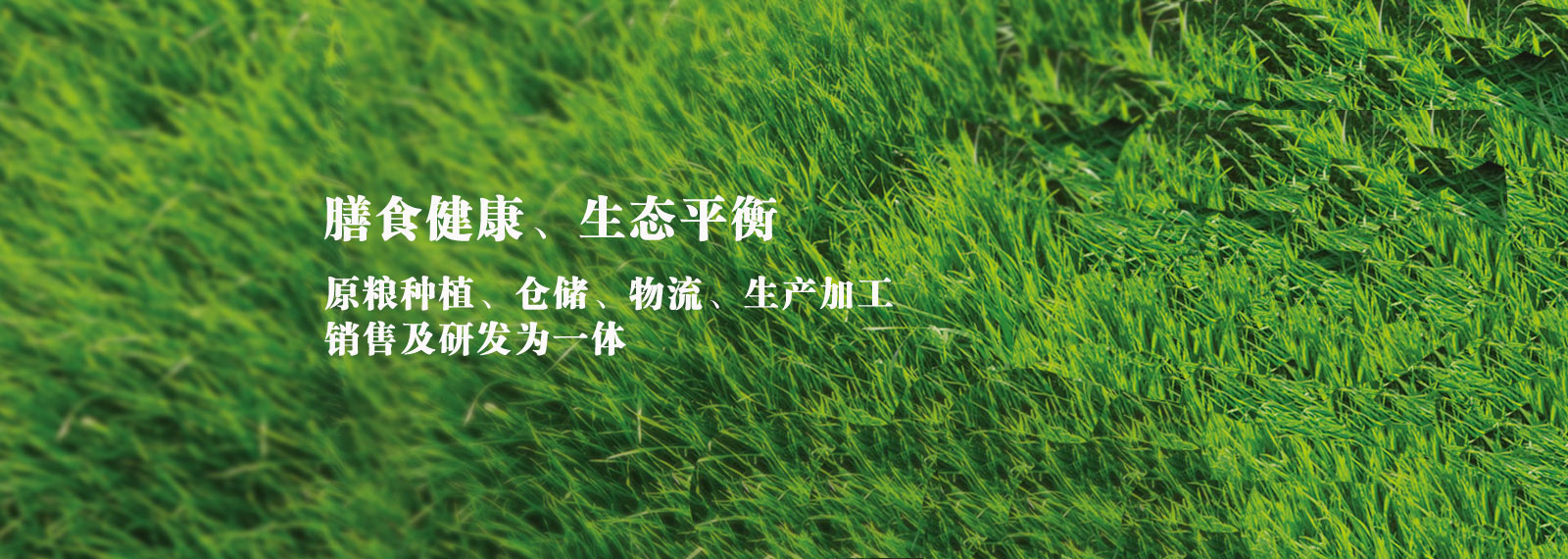 url(http://m.ke336.com/style/banner1.jpg)